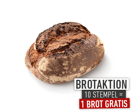 Dinkel-Matze